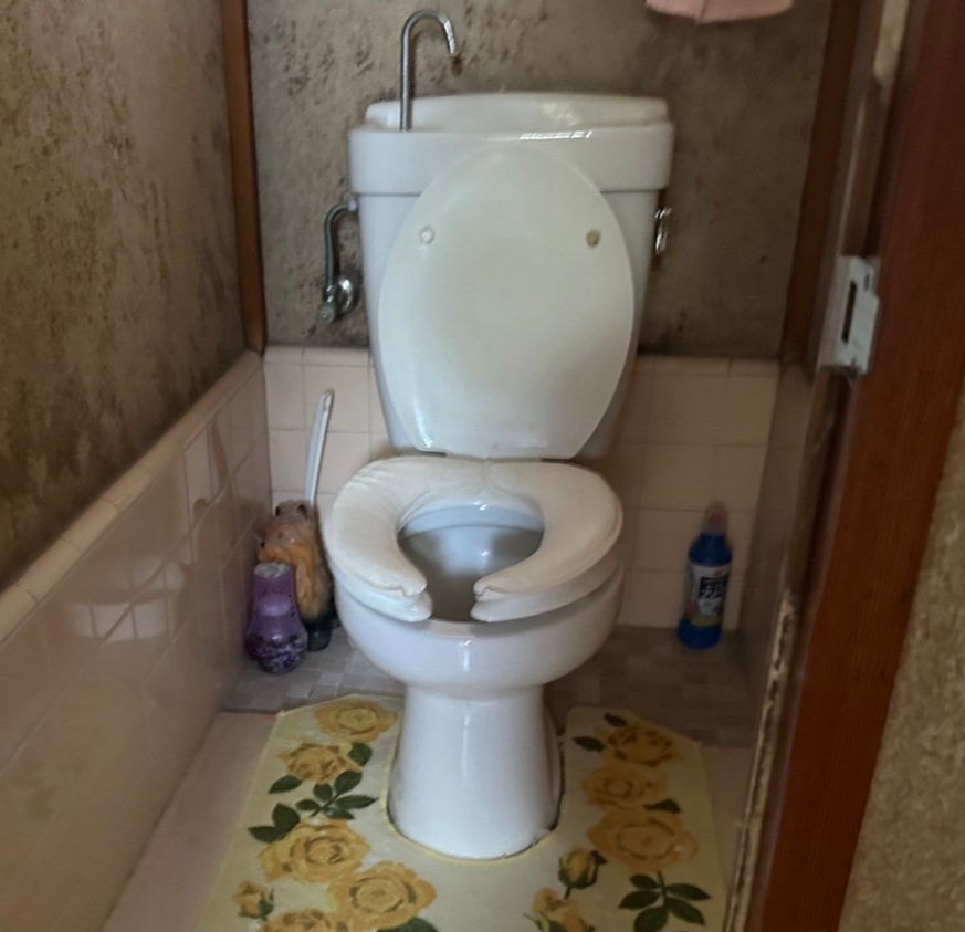 Before image