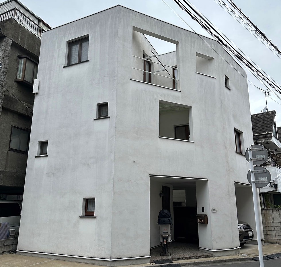 Before image