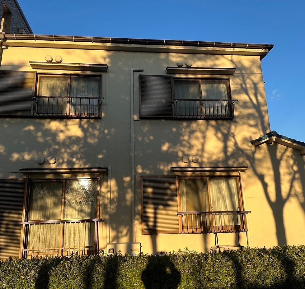 Before image