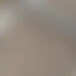 劣化した屋根